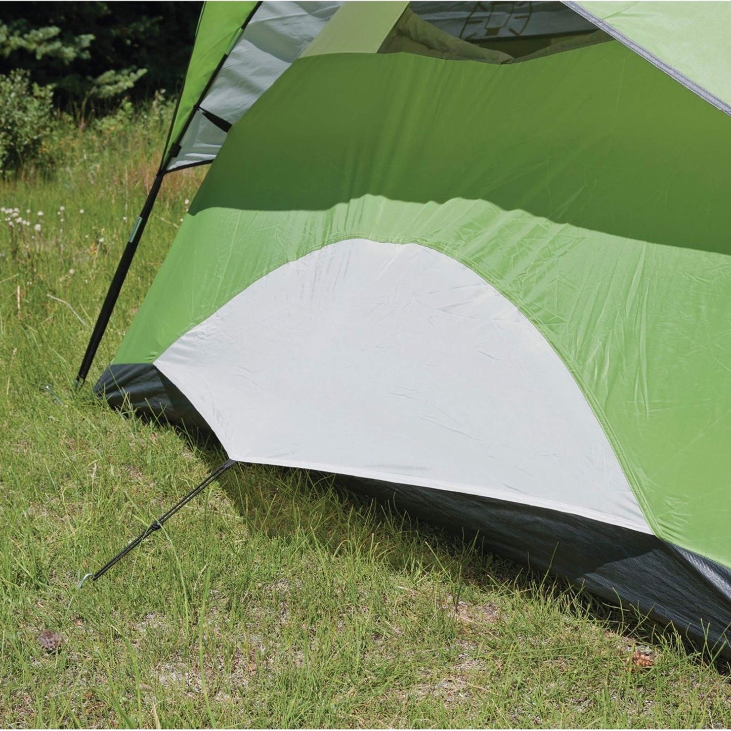 Coleman Sundome Camping Tent with Rainfly, 2/3/4/6 Person Tent Sets Up in 10 Mins, Weatherproof Shelter for Camping, Festivals, Backyard, Sleepovers, & More
